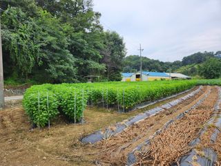 HYUN님의 O학년 △반 이세요? · 참여글 작성글 사진