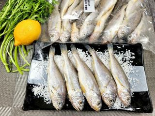 알 수 없음님의 작성글 사진