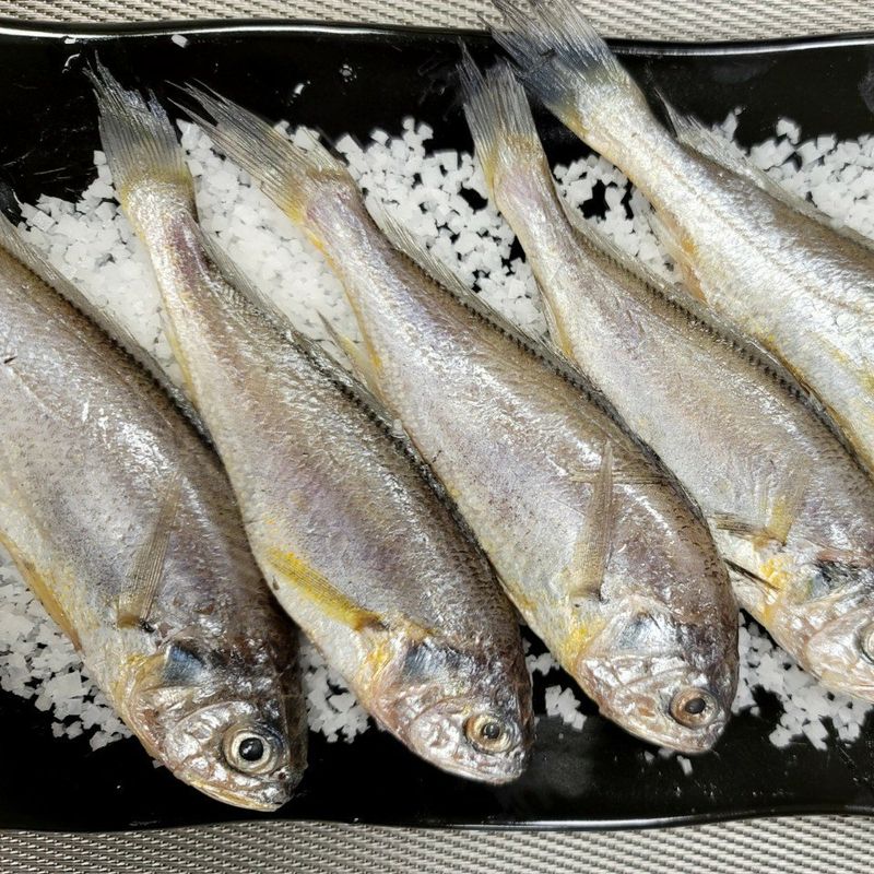 알 수 없음님의 장터 판매 상품 [국내산   참조기 50ㅡ100 미] 첨부 사진