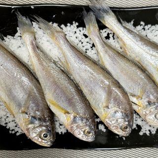 알 수 없음님의 작성글 사진