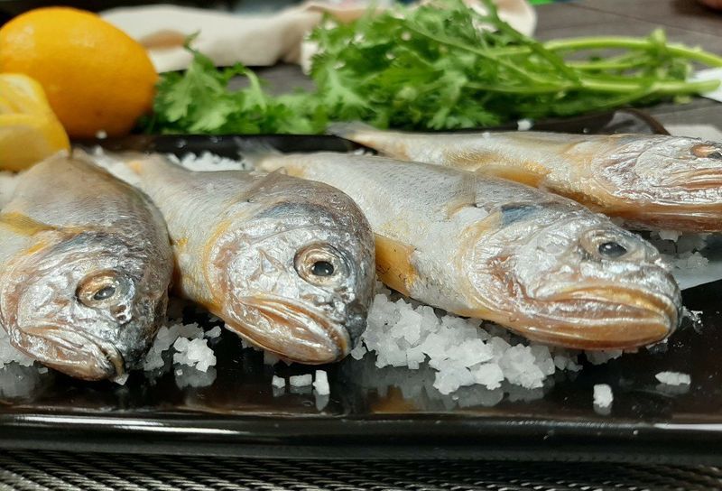 알 수 없음님의 장터 판매 상품 [국내산   참조기 50ㅡ100 미] 첨부 사진