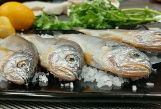 알 수 없음님의 작성글 사진