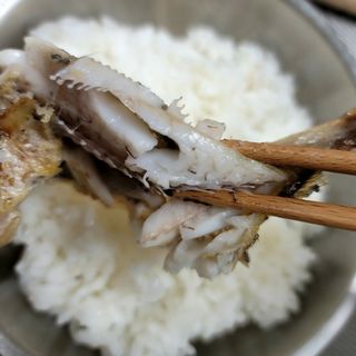 알 수 없음님의 작성글 사진