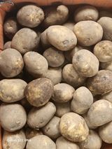 팜모닝 · 게시글 이미지