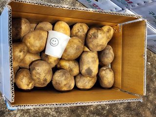 김태환님의 작성글 사진