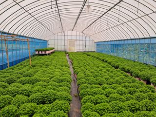 문필봉키위님의 O학년 △반 이세요? · 참여글 작성글 사진