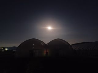 팜모닝회원 김순달 님의 자유주제 · 자유게시판 작성글 사진