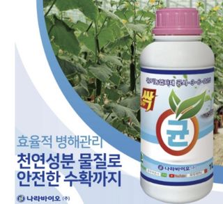 대산농사대장님의 작성글 사진
