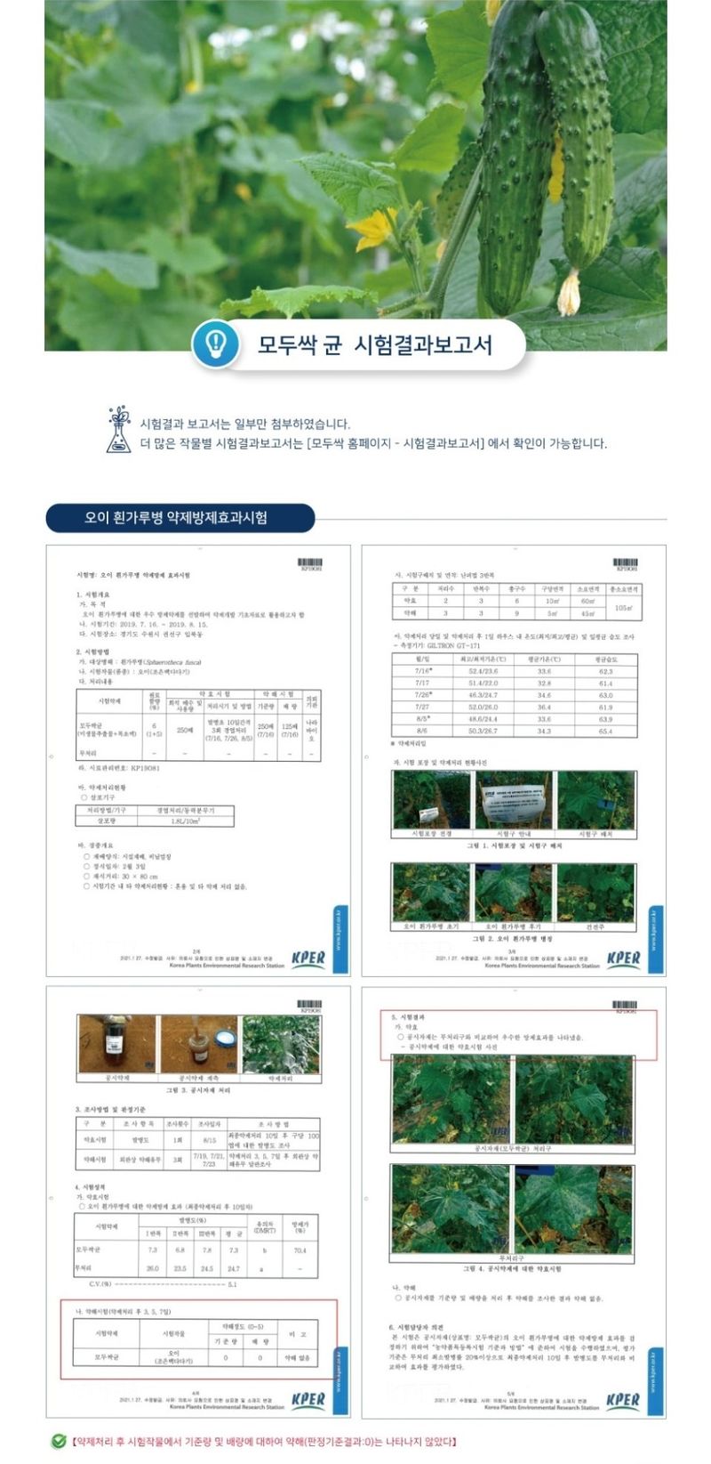 대산농사대장님의 장터 판매 상품 [모두싹균1'L] 첨부 사진