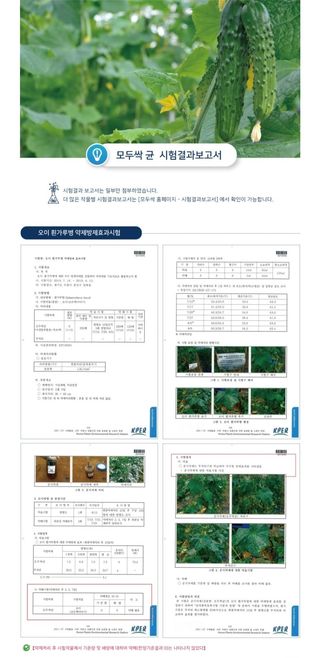 대산농사대장님의 작성글 사진