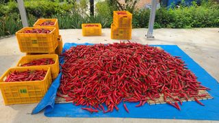 장봉덕님의 O학년 △반 이세요? · 참여글 작성글 사진