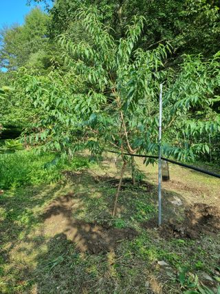 고봉농원 김경수님의 O학년 △반 이세요? · 참여글 작성글 사진