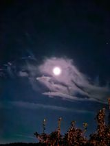 팜모닝 자유주제·사진전 게시글 이미지