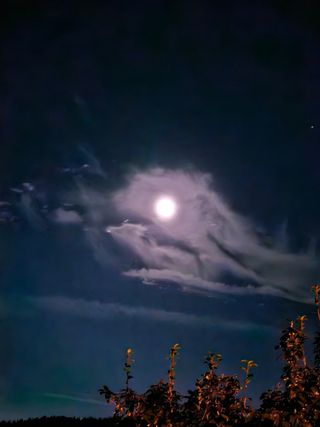 동글이선님의 자유주제 · 사진전 작성글 사진