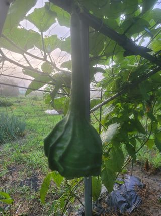 쨍하고해뜨는농원님의 O학년 △반 이세요? · 참여글 작성글 사진