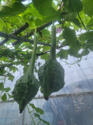 쨍하고해뜨는농원님의 O학년 △반 이세요? · 참여글 작성글 사진