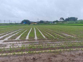 나광준님의 O학년 △반 이세요? · 참여글 작성글 사진