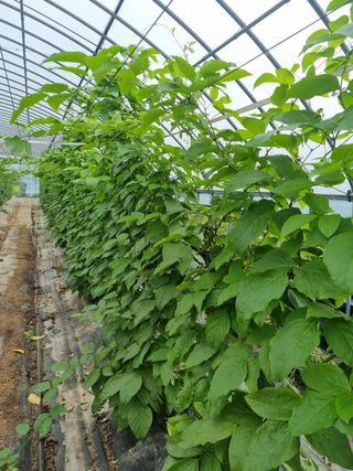 나광준님의 O학년 △반 이세요? · 참여글 작성글 사진