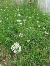 팜모닝 자유주제·자유게시판 게시글 이미지