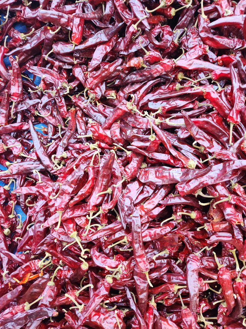 한정수님의 장터 판매 상품 [햇 고추가루●서리태] 첨부 사진