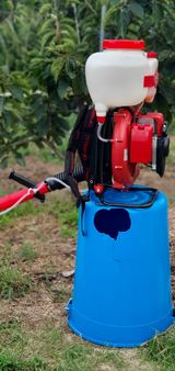 팜모닝 감·영농일지 게시글 이미지