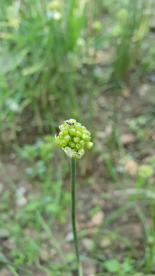 인생은 소풍처럼님의 파 · 자유게시판 작성글 사진