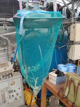 팜모닝 고추·일상 게시글 이미지