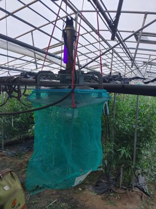 도깨비님의 고추 · 일상 작성글 사진