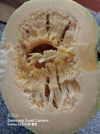 산골마님님의 호박 · 자유게시판 작성글 사진