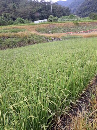 조동원님의 자유주제 · 자유게시판 작성글 사진