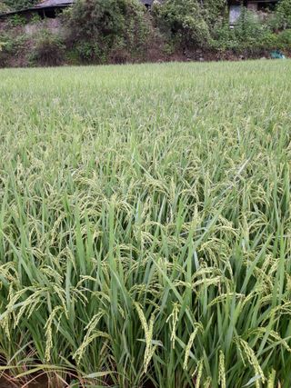 조동원님의 자유주제 · 자유게시판 작성글 사진