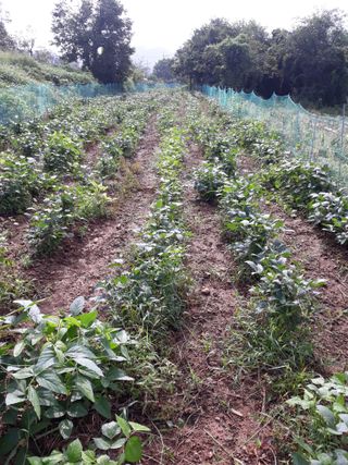 조동원님의 자유주제 · 자유게시판 작성글 사진