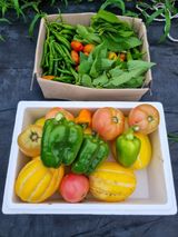 팜모닝 O학년 △반 이세요?·참여글 게시글 이미지