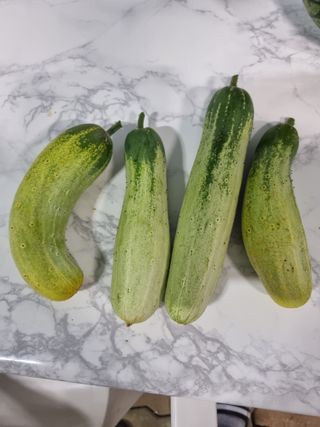 일출님의 O학년 △반 이세요? · 참여글 작성글 사진