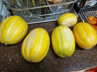 일출님의 O학년 △반 이세요? · 참여글 작성글 사진