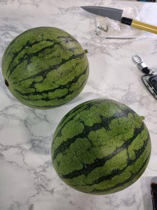 일출님의 O학년 △반 이세요? · 참여글 작성글 사진