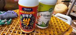 정병화니네농장님의 고추 · 영농일지 작성글 사진