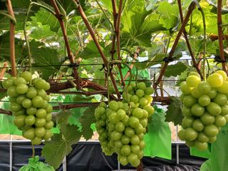 박경희 님의 O학년 △반 이세요? · 참여글 작성글 사진