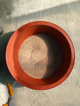 박경희 님의 O학년 △반 이세요? · 참여글 작성글 사진