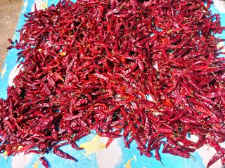 박경희 님의 O학년 △반 이세요? · 참여글 작성글 사진