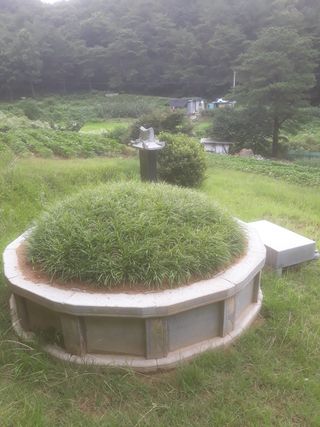 맥문동남천농장님의 복숭아 · 자유게시판 작성글 사진