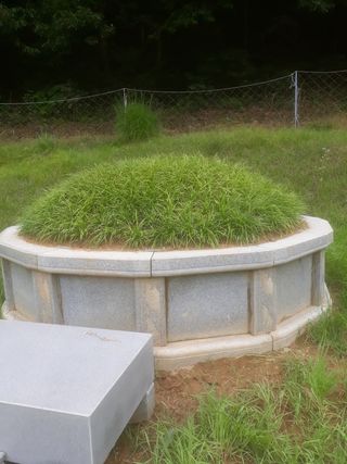 맥문동남천농장님의 복숭아 · 자유게시판 작성글 사진