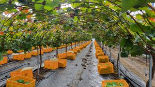 정귀영님의 O학년 △반 이세요? · 참여글 작성글 사진