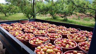 정귀영님의 O학년 △반 이세요? · 참여글 작성글 사진