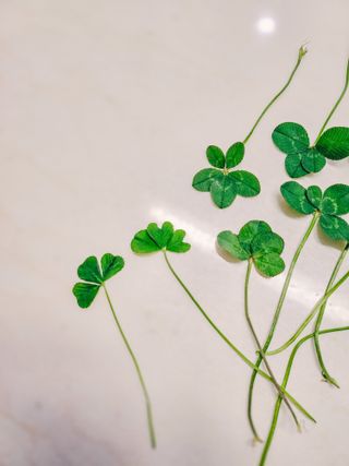 박순덕님의 자유주제 · 자유게시판 작성글 사진