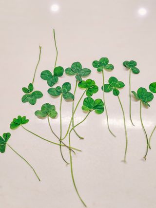 박순덕님의 자유주제 · 자유게시판 작성글 사진