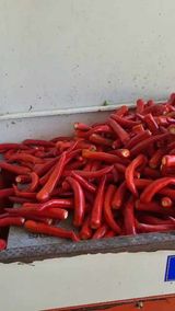 팜모닝 · 게시글 이미지