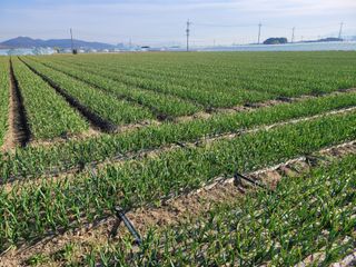 박금주님의 O학년 △반 이세요? · 참여글 작성글 사진