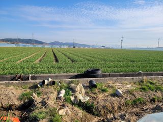 박금주님의 O학년 △반 이세요? · 참여글 작성글 사진