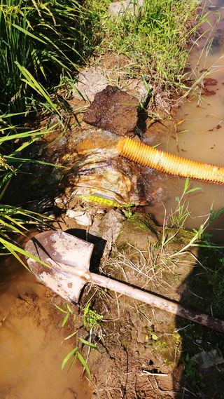 이복길님의 벼 · 영농일지 작성글 사진